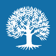 Agente de Seguros y Fianzas en
         - OKAH Seguros y Fianzas